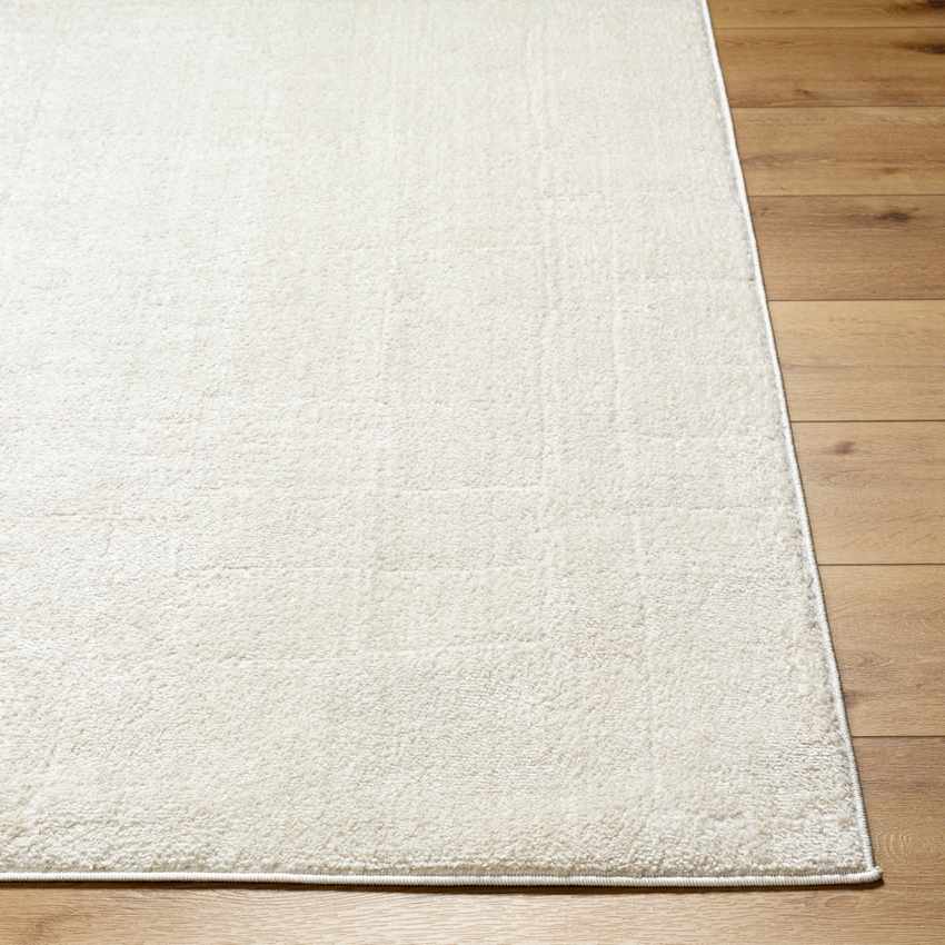 AAAB8416-detail_front Sheritta Modern Ivory/Off-White Area Rug - Image 6