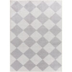 Senior Modern Light Gray Washable Area Rug
