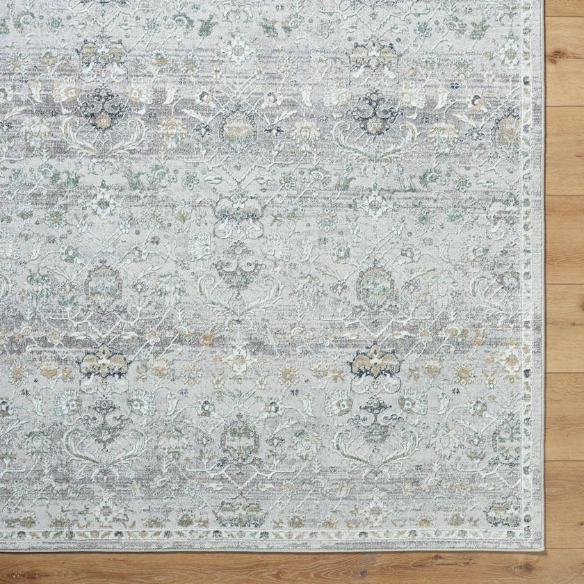 AAAC3483-overhead_b8fbd724-9355-4e44-89a1-f3fce4c10c96-1 Audria Traditional Light Sage Area Rug - Image 4
