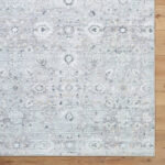 Analissa Traditional Light Gray Area Rug - Image 5