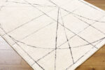 Architect Modern Black/Ivory Area Rug - Galey Alix Livabliss - Image 5
