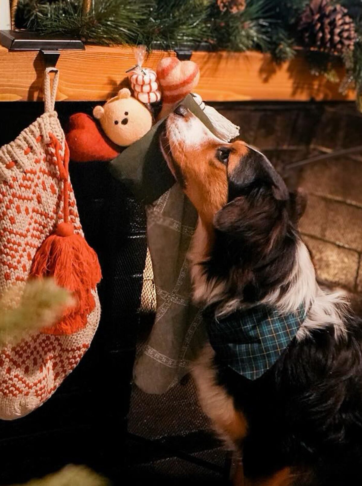 WINTER BANDANA - Image 18