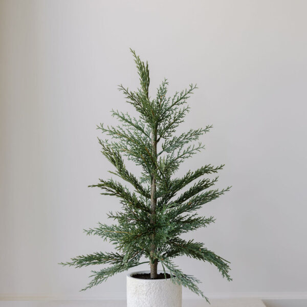 Set of 2 – 24" Lifelike Artificial Cedar Trees in Elegant Cream Pots for Home and Office Decor