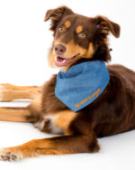 EMBROIDERED BANDANA - Image 2